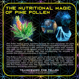 Transcended PINE POLLEN - Primal Alchemy
