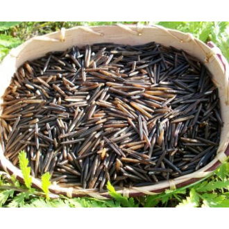 Divoká (Indiánská) rýže, z volné přírody (Kanada) 300g
