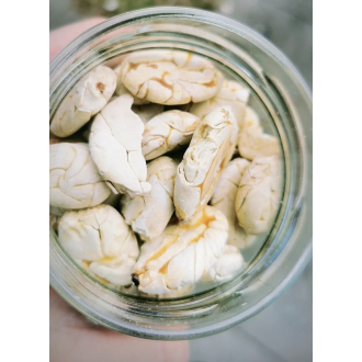 100% Divoká jaguáří (Theobroma bicolor) - Naive 50g