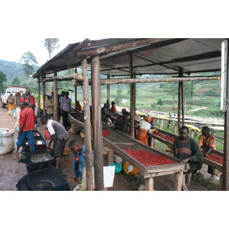 Burundi (Gakenke) - BeBerry 250g