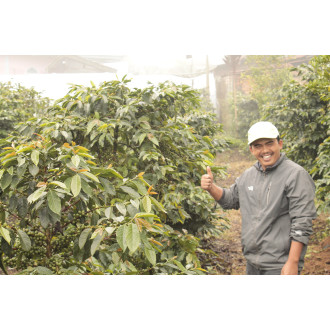 Indonesia (Triyono and farmers) - BeBerry 250g