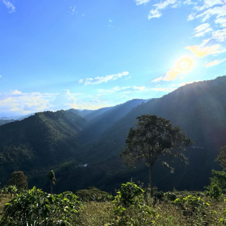 Colombia COMPETITION SERIES (Rigoberto Herrera) - BeBerry 70g