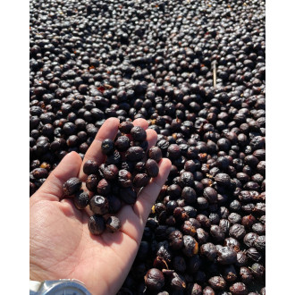 Costa Rica (Antonio Barrantes) - BeBerry 200g