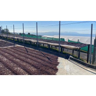 Costa Rica (Antonio Barrantes) - BeBerry 200g