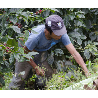 Nicaragua (Olman Valladarez) - BeBerry 250g