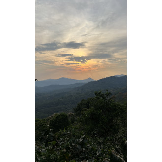 Nicaragua (Olman Valladarez) - BeBerry 250g