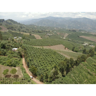 Colombia (Alirio Rodriguez) - BeBerry 250g