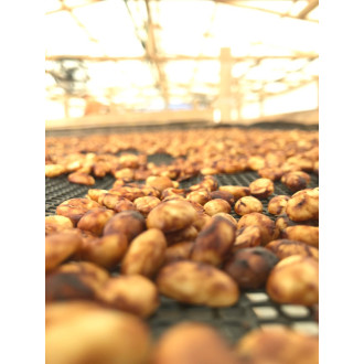 Colombia (Aponte farmers) - BeBerry 250g