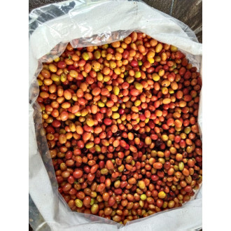 Colombia (Miriam) - BeBerry 250g