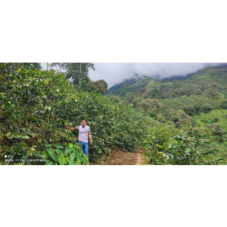Peru (Milton Rojas) - BeBerry 250g