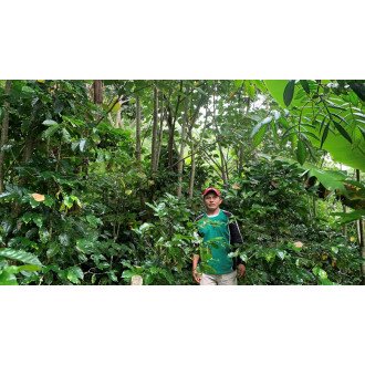 Ecuador (Cooperative FAPE) - BeBerry 250g