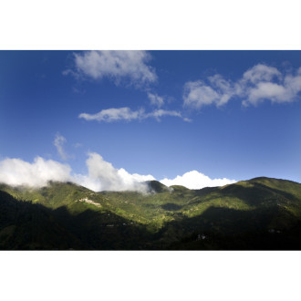 Jamaica Blue Mountain - Corica 250g