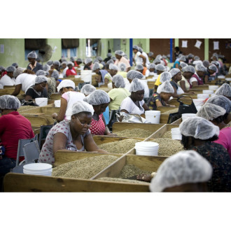 Jamaica Blue Mountain - Corica 250g