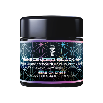 Transcended Black Ant - Primal Alchemy