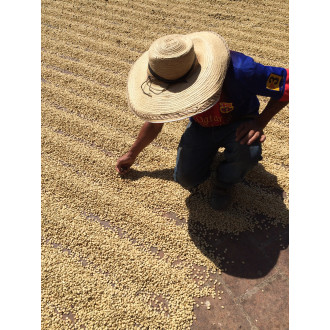 Colombia (Nicolas Ome) - BeBerry 250g