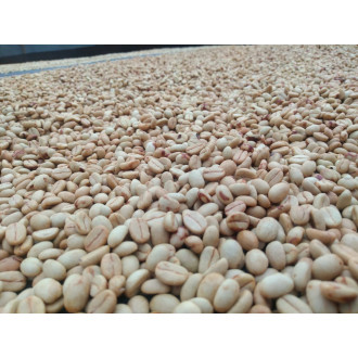 Colombia (Nicolas Ome) - BeBerry 250g