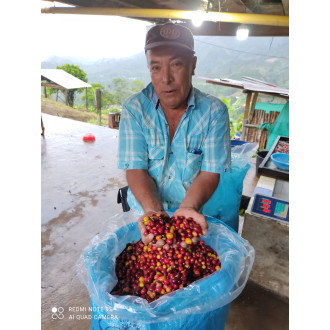 Colombia (Alonso Bustos) - BeBerry 250g