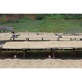 Kenya (Kii) - BeBerry 250g