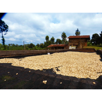 Kenya (Murarandia) - BeBerry 250g