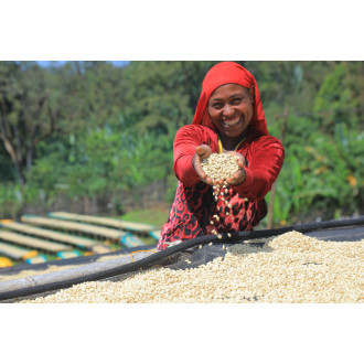 Ethiopia (Chelbesa) - BeBerry 250g