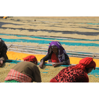 Ethiopia (Chelbesa) - BeBerry 250g