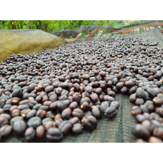 Ethiopia (Dambi) - BeBerry 250g