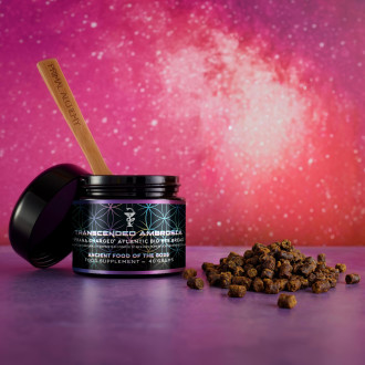 Transcended Ambrosia - Primal Alchemy 40g (CZ-BIO-002)