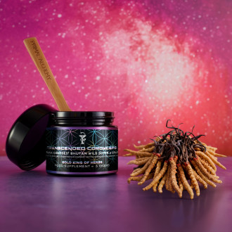 Transcended Cordyceps - Primal Alchemy 5g