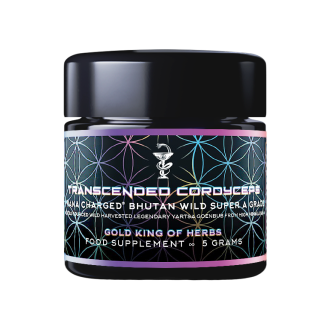 Transcended Cordyceps - Primal Alchemy 5g
