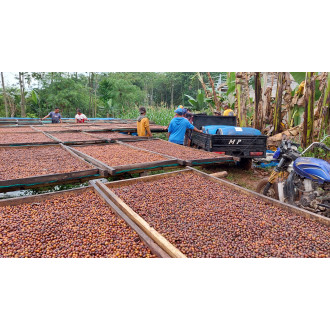 Indonesia (Bang Hendra) - BeBerry 250g