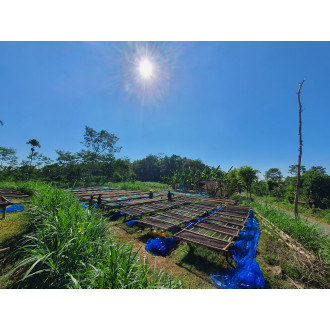 Indonesia (Bang Hendra) - BeBerry 250g