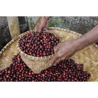 Indonesia (Bang Hendra) - BeBerry 250g