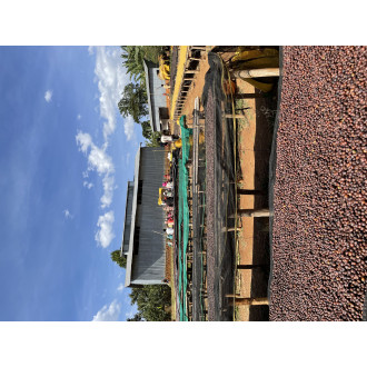 Ethiopia (Garse) - BeBerry 250g