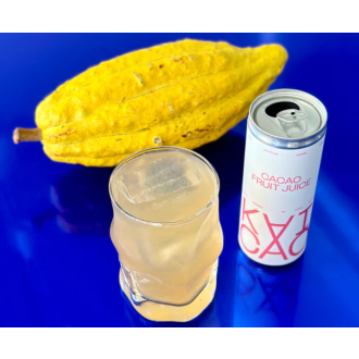 Hydratační kakaová šťáva (bez aditiv) - KAICAO 250ml