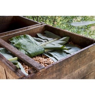 65% Chocolate Rocks (heirloom nacional) - To’ak