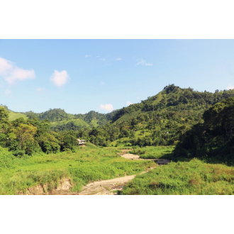 65% Chocolate Rocks (heirloom nacional) - To’ak