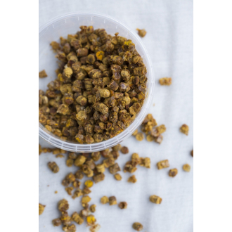 BIO Včelí chléb (Ambrosia) -Estonsko, čerstvá, 100g