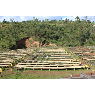 Burundi (Kibingo) - BeBerry 250g