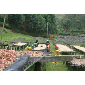 Burundi (Kibingo) - BeBerry 250g