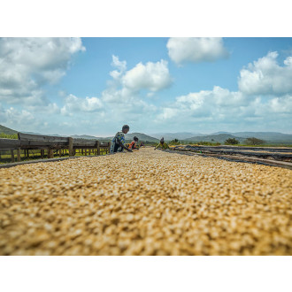 Kenya (GREAT RIFT) - BeBerry 250g