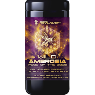 Divoká Ambrosia Himálajská (Indie) čerstvá - Primal Alchemy