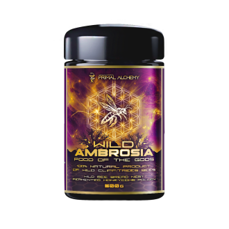 Divoká Ambrosia Himálajská (Indie) čerstvá - Primal Alchemy