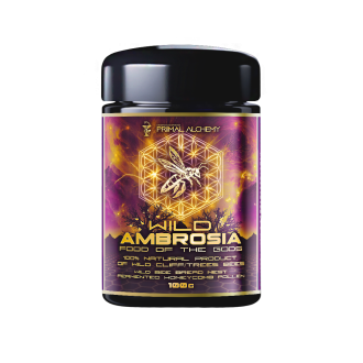 Divoká Ambrosia Himálajská (Indie) čerstvá - Primal Alchemy