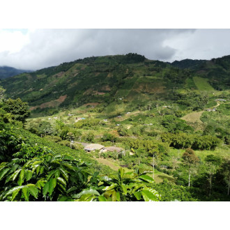 Colombia (Wilmer Cubillos) - BeBerry 250g