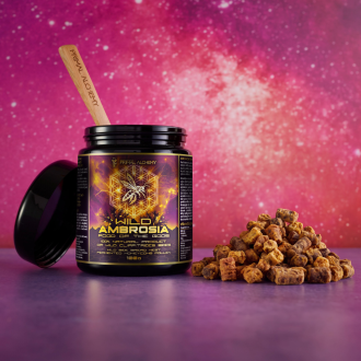 Divoká Ambrosia Himálajská (Indie) čerstvá - Primal Alchemy