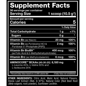 Allmax Aminocore NATURAL 378g