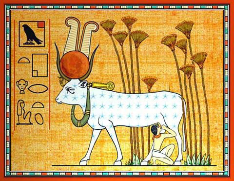 Člověk pijící kozí kolostrum z vemene, zachycený na starodávném egyptském pergamenu.